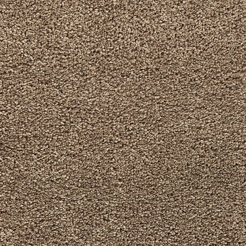 Bold Choice|Navajo Path|3F91-852 - Sample