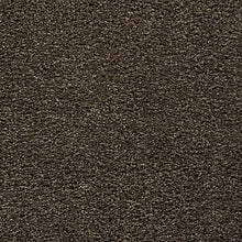 Load image into Gallery viewer, Bold Choice|Longhorn|3F91-865 - Sample