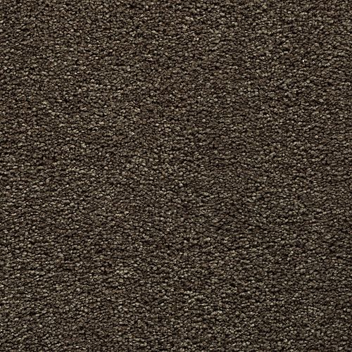 Bold Choice|Longhorn|3F91-865 - Sample