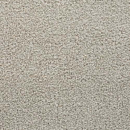 Bold Choice|Forest Twilight|3F91-938 - Sample