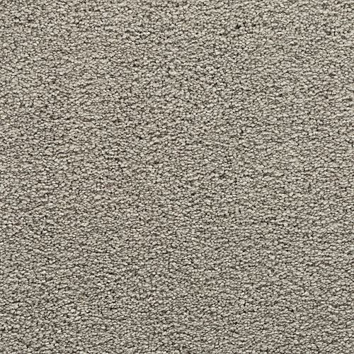 Bold Choice|Dovetail|3F91-939 - Sample