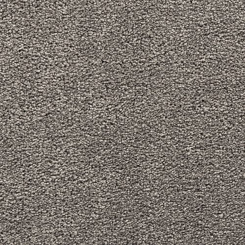 Bold Choice|Sidewalk|3F91-949 - Sample