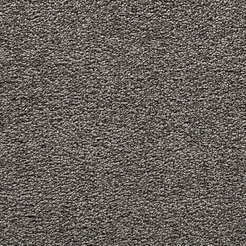 Bold Choice|Overcast|3F91-974 - Sample