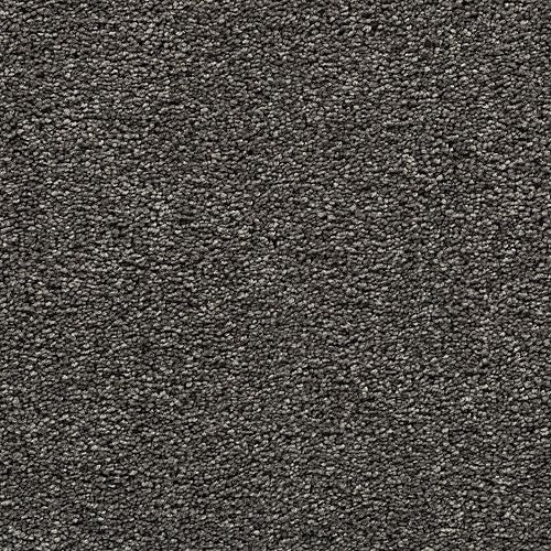 Bold Choice|Quiet Alcove|3F91-981 - Sample