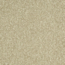 Load image into Gallery viewer, Astonishing Beauty|Warm Sand|70982-3712 - Sample