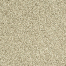 Load image into Gallery viewer, Astonishing Beauty|Dignified|70982-3719 - Sample