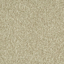 Load image into Gallery viewer, Astonishing Beauty|Romano|70982-3720 - Sample