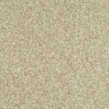 Load image into Gallery viewer, Astonishing Beauty|Toasted Almond|70982-3735 - Sample