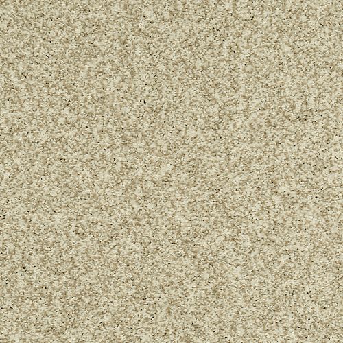 Astonishing Beauty|Toasted Almond|70982-3735 - Sample