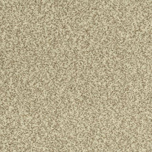 Load image into Gallery viewer, Astonishing Beauty|Quicksand|70982-3748 - Sample