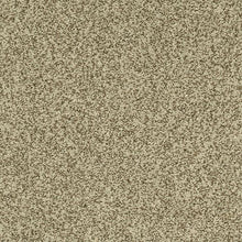 Load image into Gallery viewer, Astonishing Beauty|Chocolate Velvet|70982-3760 - Sample