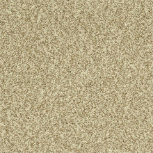 Load image into Gallery viewer, Astonishing Beauty|Catalina|70982-3768 - Sample