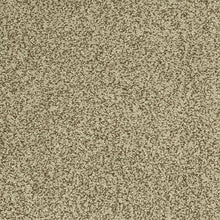 Load image into Gallery viewer, Modern View|Cashmere Sweater|43721-9787 - Sample