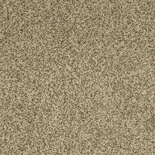 Load image into Gallery viewer, Astonishing Beauty|Wilmington Tan|70982-3788 - Sample