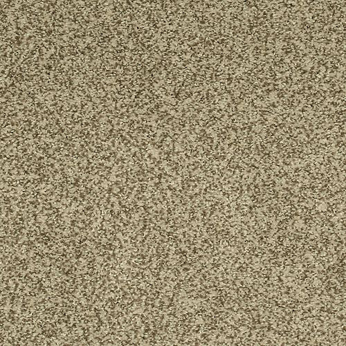 Astonishing Beauty|Wilmington Tan|70982-3788 - Sample