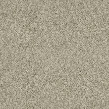 Load image into Gallery viewer, Astonishing Beauty|Northwind|70982-3800 - Sample