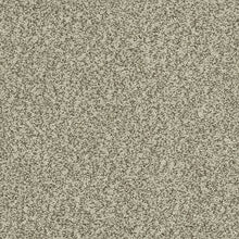 Load image into Gallery viewer, Astonishing Beauty|Coastal Fog|70982-3829 - Sample