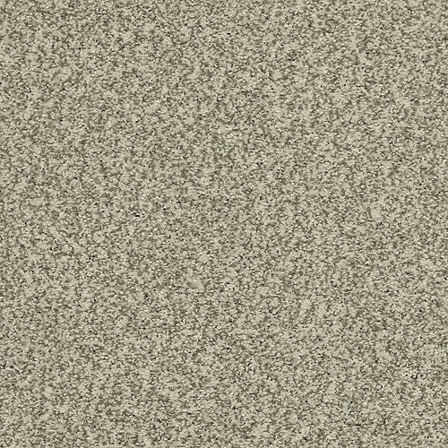 Astonishing Beauty|Coastal Fog|70982-3829 - Sample