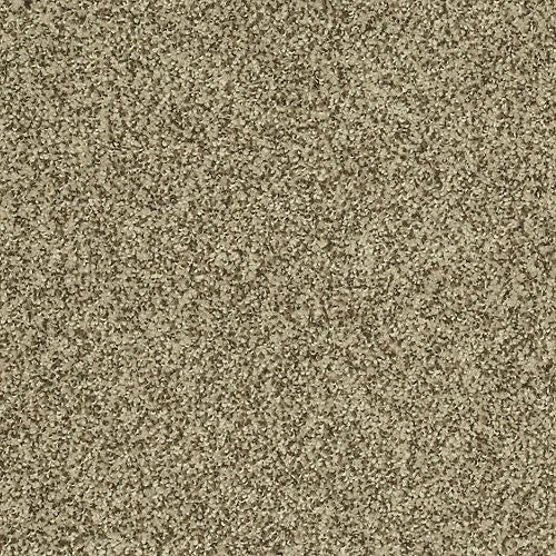 Astonishing Beauty|Brownstone|70982-3834 - Sample