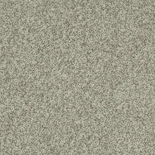 Load image into Gallery viewer, Astonishing Beauty|Fretwork|70982-3924 - Sample