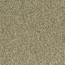 Load image into Gallery viewer, Astonishing Beauty|Tranquil Taupe|70982-3942 - Sample