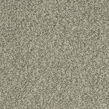 Load image into Gallery viewer, Cherished Tradition|Raven|K8962-9944 - Sample