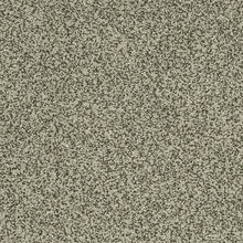 Load image into Gallery viewer, Astonishing Beauty|Oxford|70982-3974 - Sample