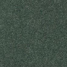 Load image into Gallery viewer, Astounding Flair|Calypso|BP26C-662 - Sample