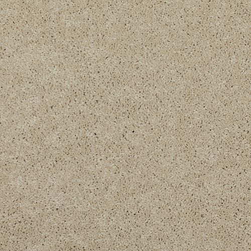 Astounding Flair|Contempo|BP26C-722 - Sample