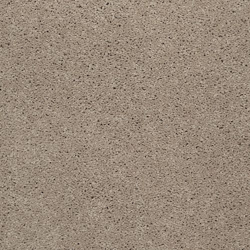 Astounding Flair|Dockside|BP26C-738 - Sample