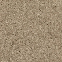 Load image into Gallery viewer, Astounding Flair|Beach House|BP26C-755 - Sample