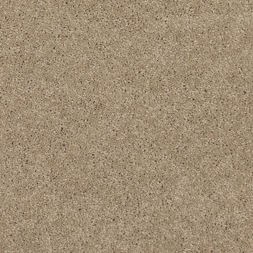 Astounding Flair|Beach House|BP26C-755 - Sample