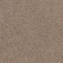 Load image into Gallery viewer, Astounding Flair|Homestead|BP26C-760 - Sample