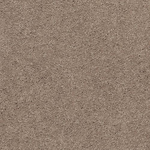 Astounding Flair|Homestead|BP26C-760 - Sample