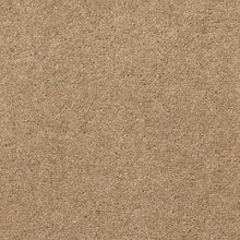 Load image into Gallery viewer, Astounding Flair|Artisan Hue|BP26C-761 - Sample