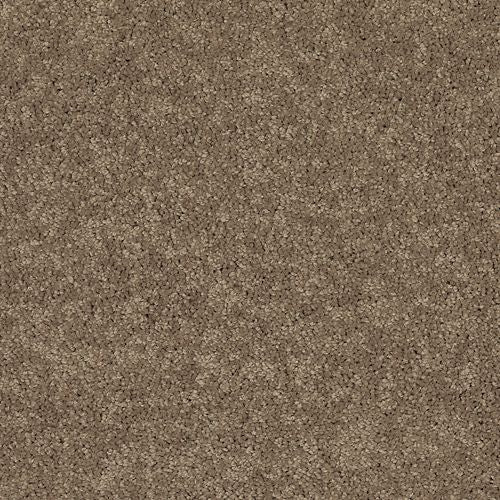 Astounding Flair|Stetson|BP26C-775 - Sample