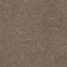 Load image into Gallery viewer, Astounding Flair|Perfect Taupe|BP26C-829 - Sample