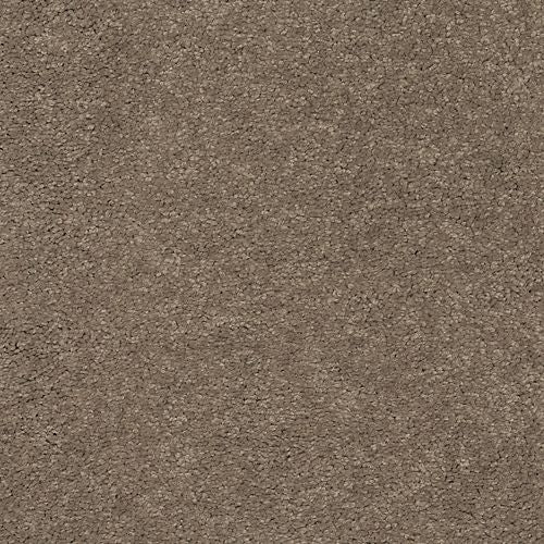 Astounding Flair|Perfect Taupe|BP26C-829 - Sample
