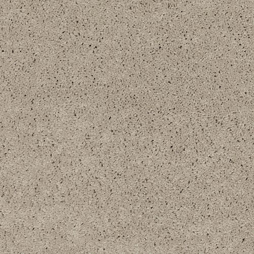 Astounding Flair|Cloudy Day|BP26C-901 - Sample