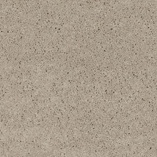 Load image into Gallery viewer, Soft Aesthetic II|Cloudy Day|3G23-901 - Sample