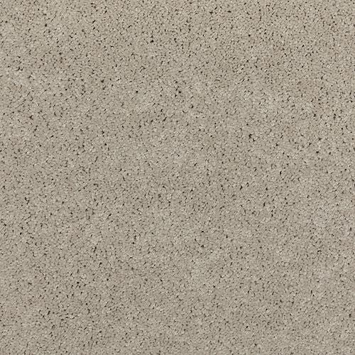 Astounding Flair|Picnic|BP26C-908 - Sample