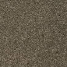 Load image into Gallery viewer, Astounding Flair|Dakota|BP26C-958 - Sample