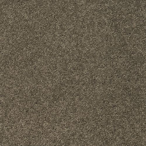 Astounding Flair|Dakota|BP26C-958 - Sample