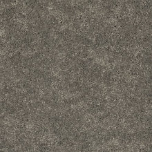 Load image into Gallery viewer, Astounding Flair|Rough Stone|BP26C-974 - Sample