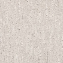 Load image into Gallery viewer, Alluring Selection|Pearl|3H09-901 - Sample