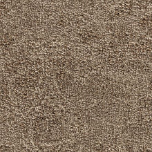 Load image into Gallery viewer, Lavish Indulgence|Blonde Willow|3G71-9748 - Sample