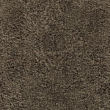 Load image into Gallery viewer, Intriguing Allure|Cathedral|43707-9962 - Sample