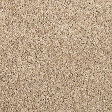 Load image into Gallery viewer, Charming Tones|Blended Tan|BP33C-824 - Sample
