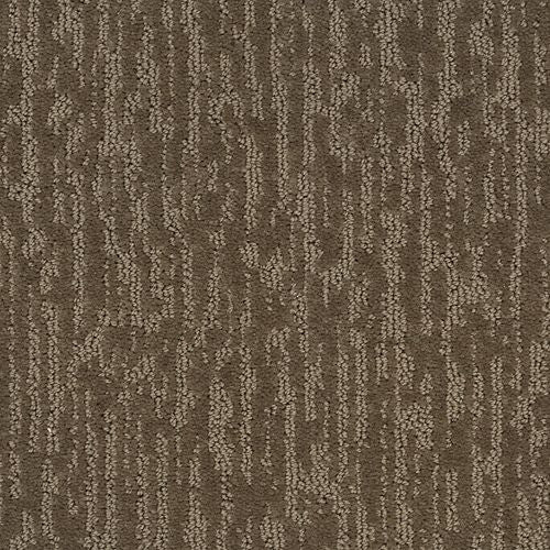 Attention Getter II|Tortoise Shell|BP41C-855 - Sample