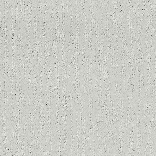 Attention Getter II|Arctic Air|BP41C-905 - Sample